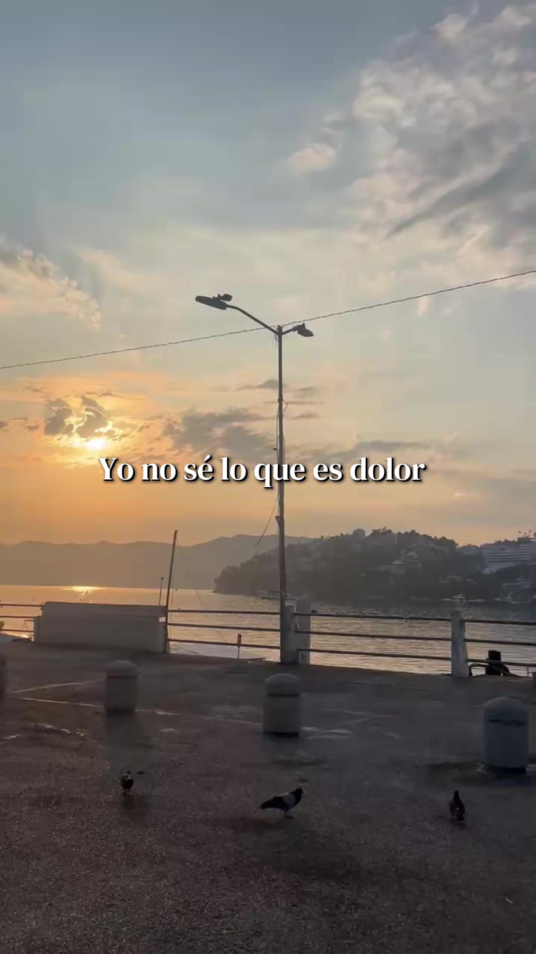 @Miriam🎶🎵