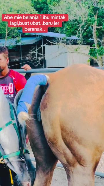 @Subdepo Arabian Park