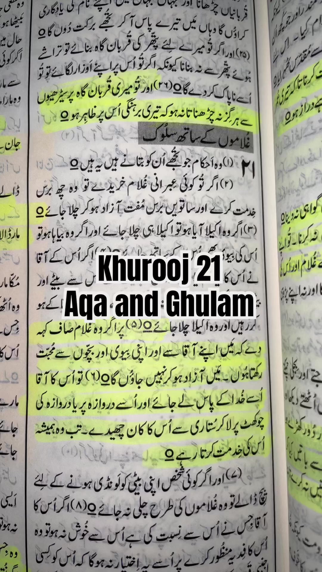 @Tehmina Sattar