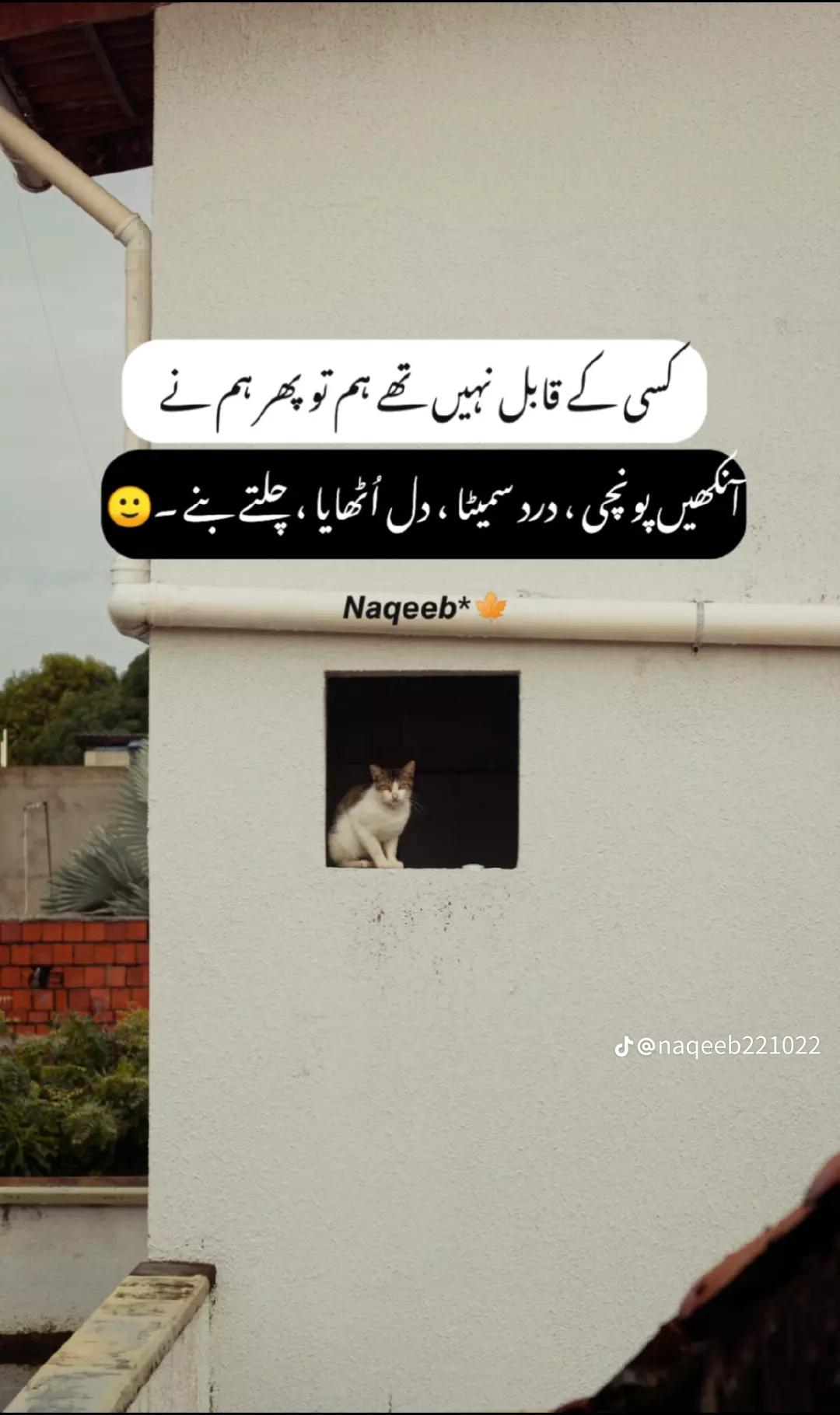 @Qwert