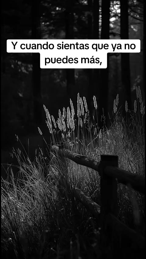 @Bonit@