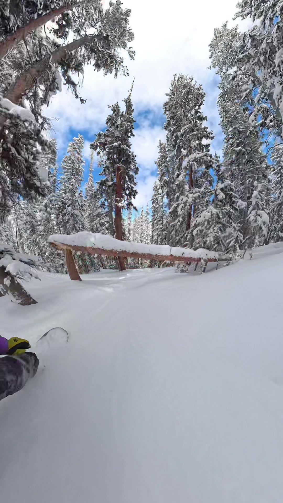 @Search of Snowboarding