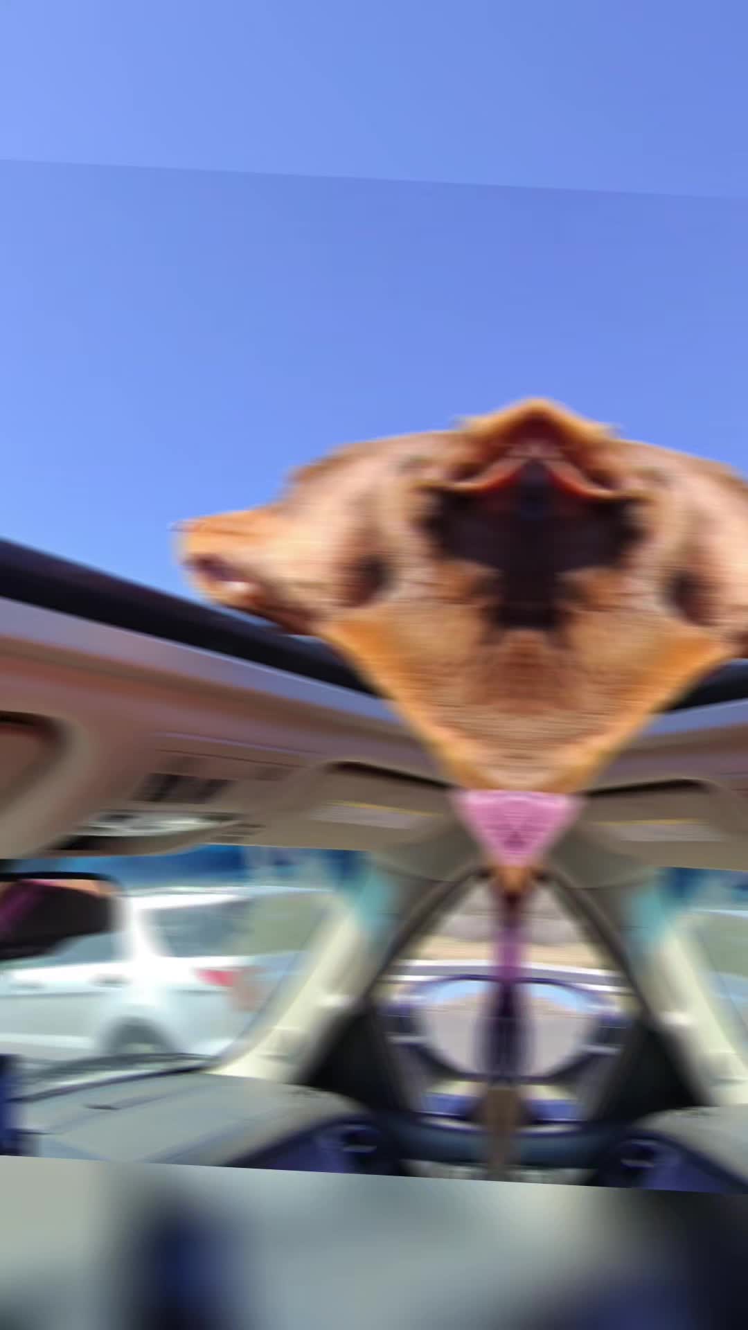 @chriscustoms