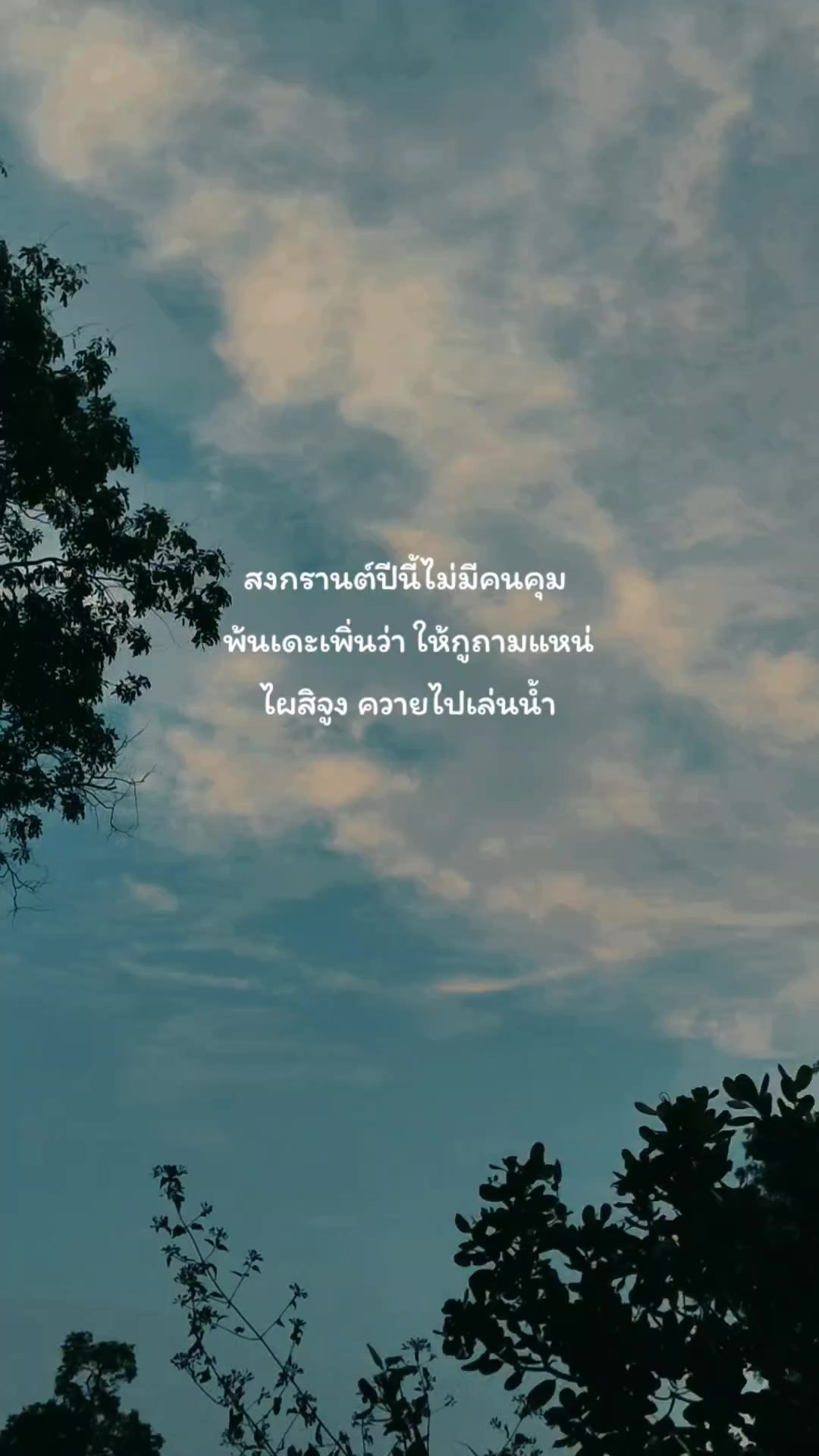 @pipat🌻🤍51.7K