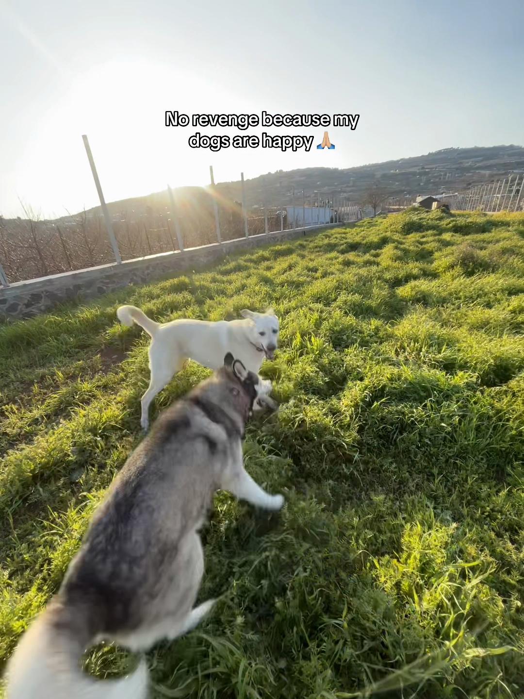 @Nala & Bella 💜