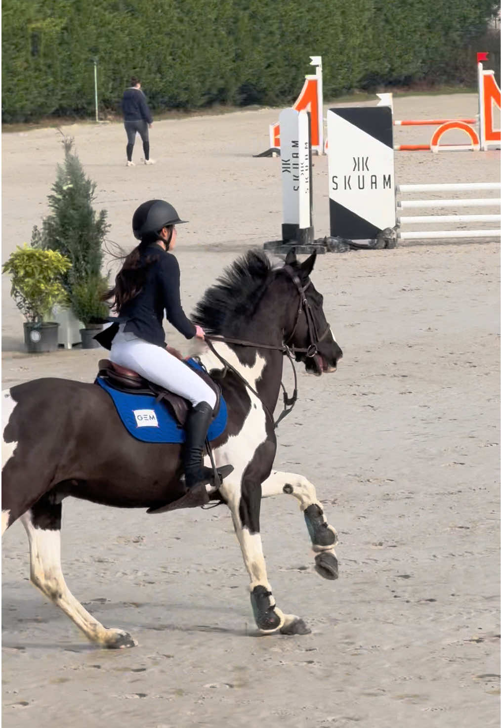 @Laurie 🐴
