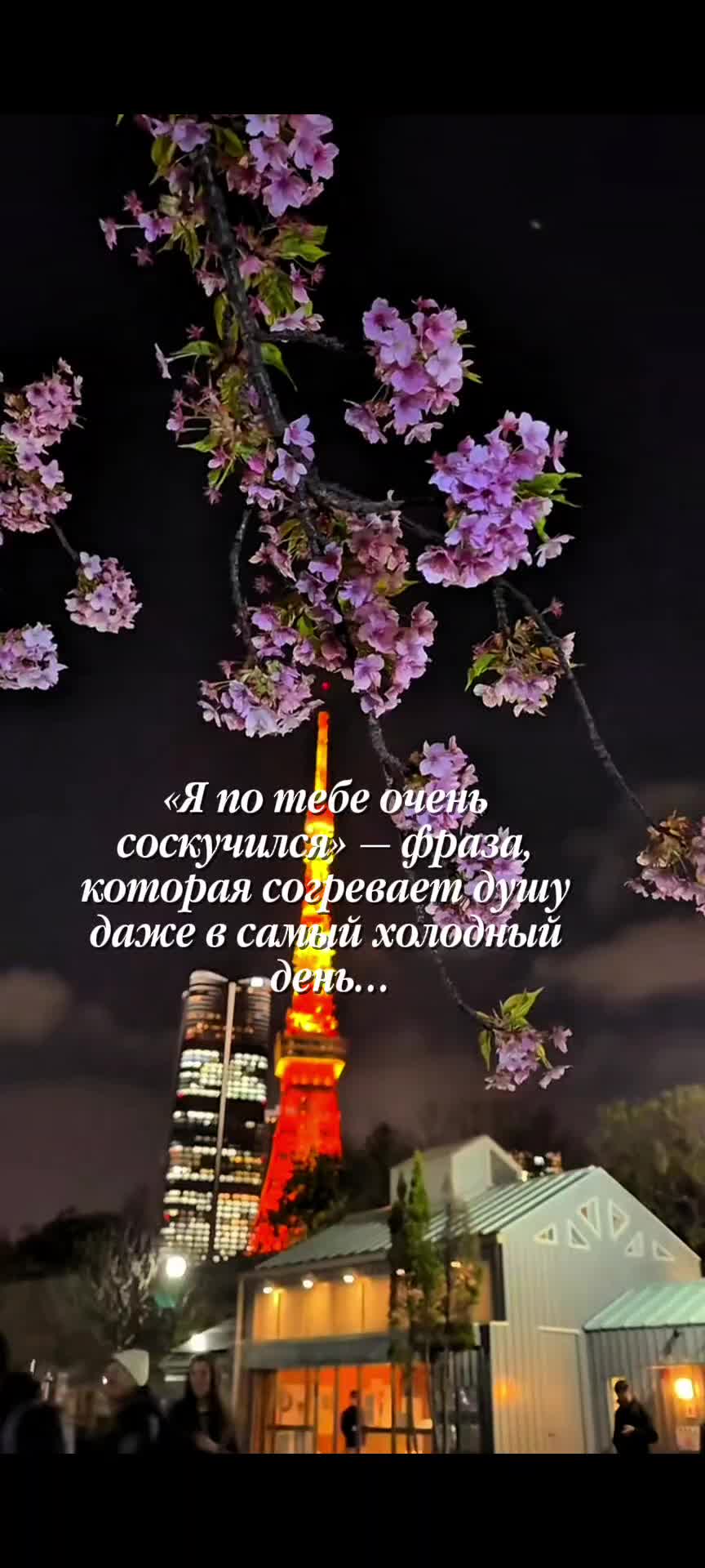 @Цитаты, статусы)