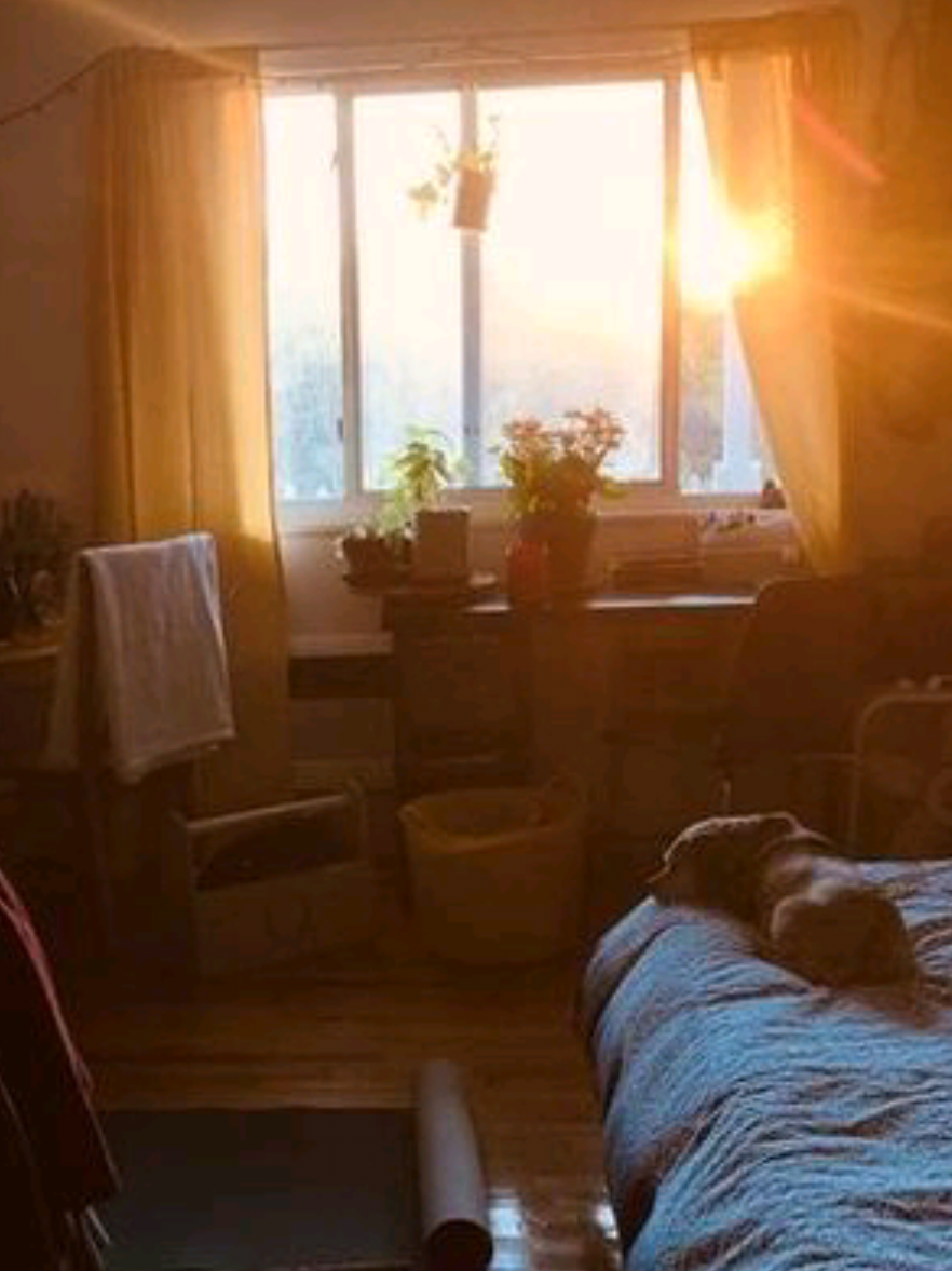 @n⭐ri