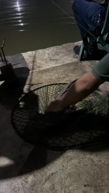 @Rekomendasi Juragan Mancing