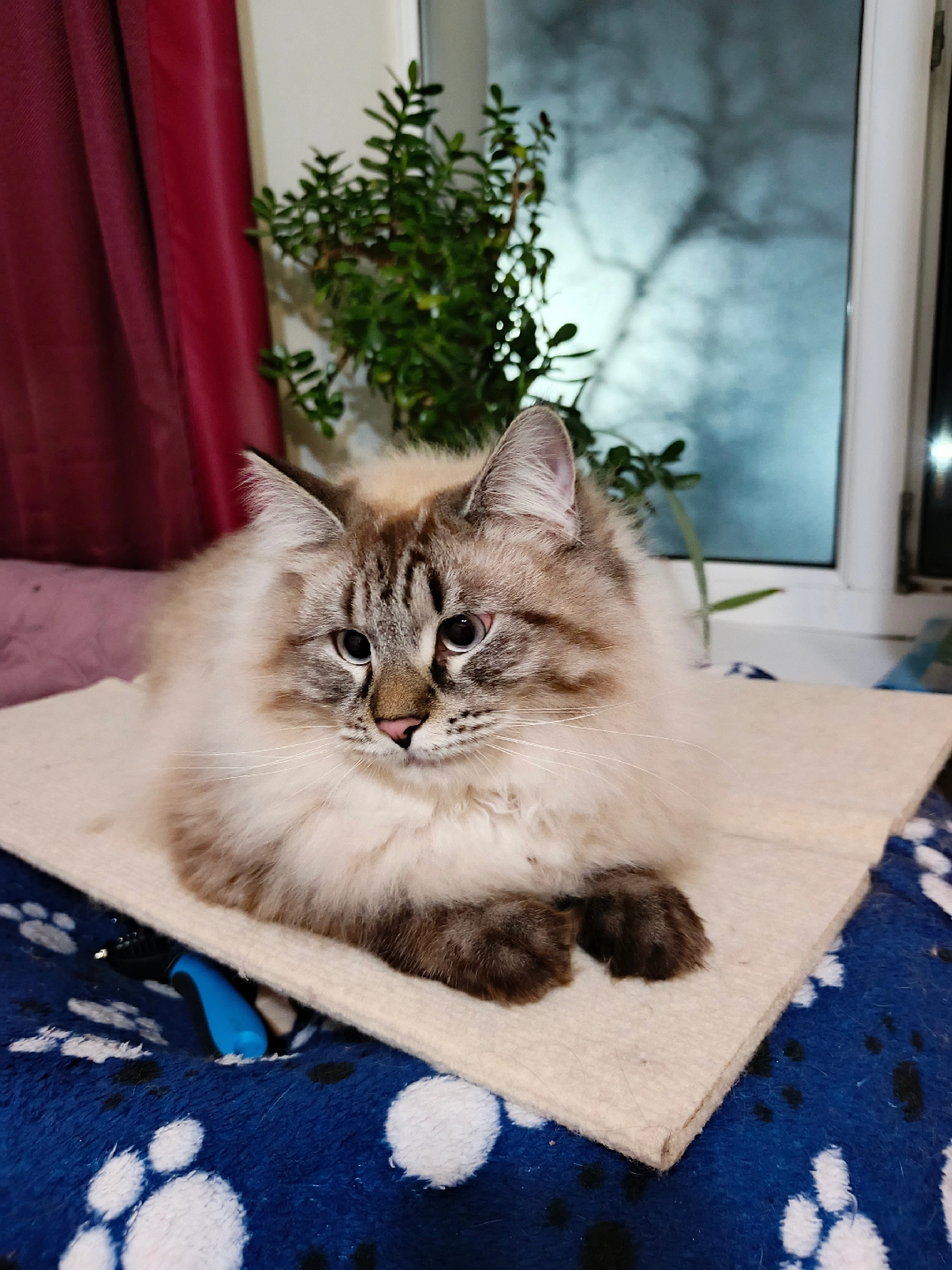 @Ольга