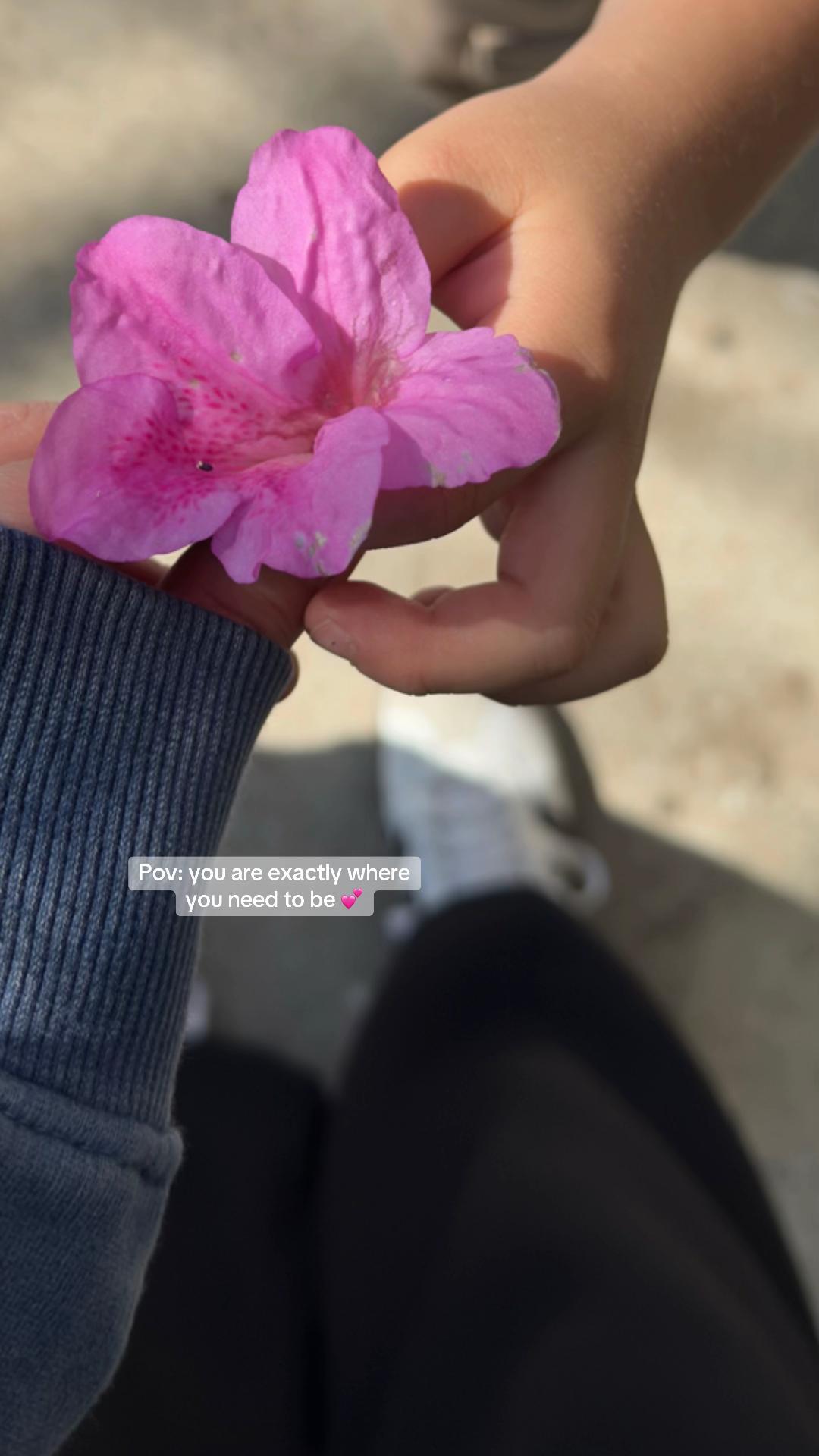 @elsycr