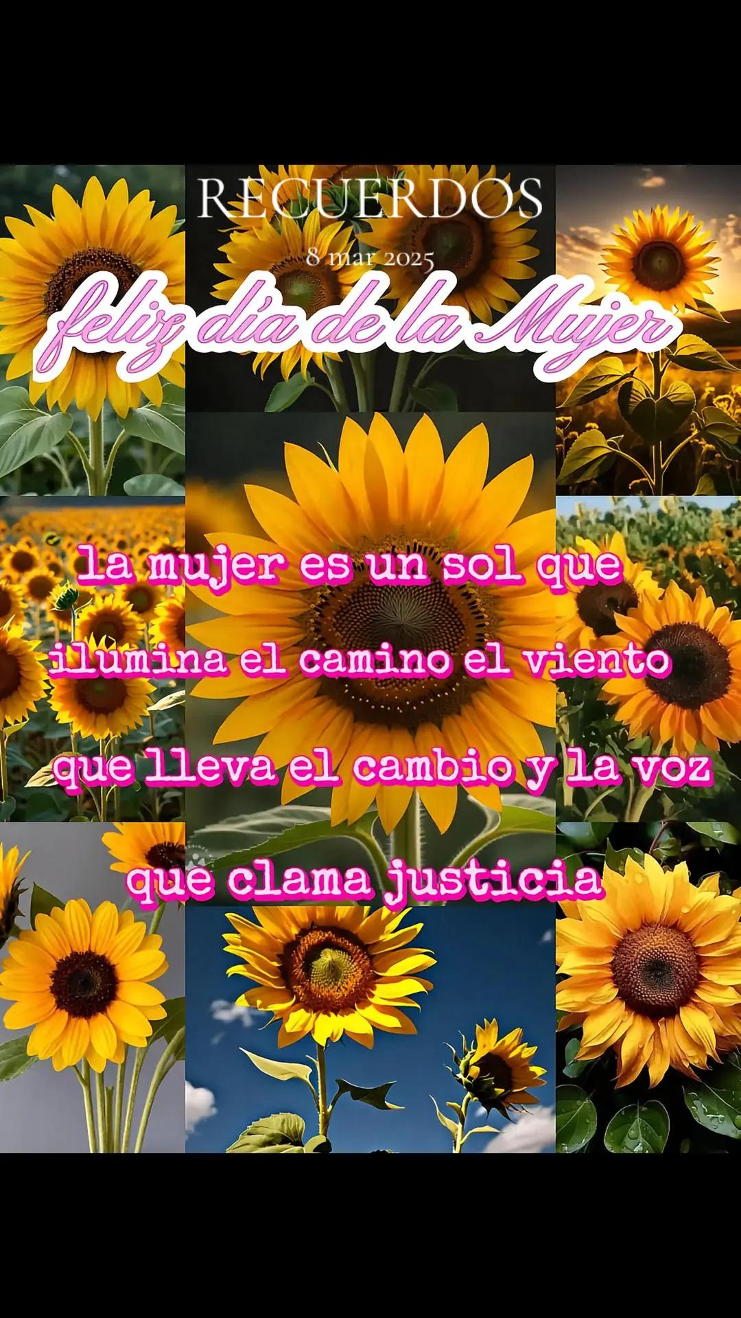 @Angie Gaona ❤️👉🌗✨🇲🇽