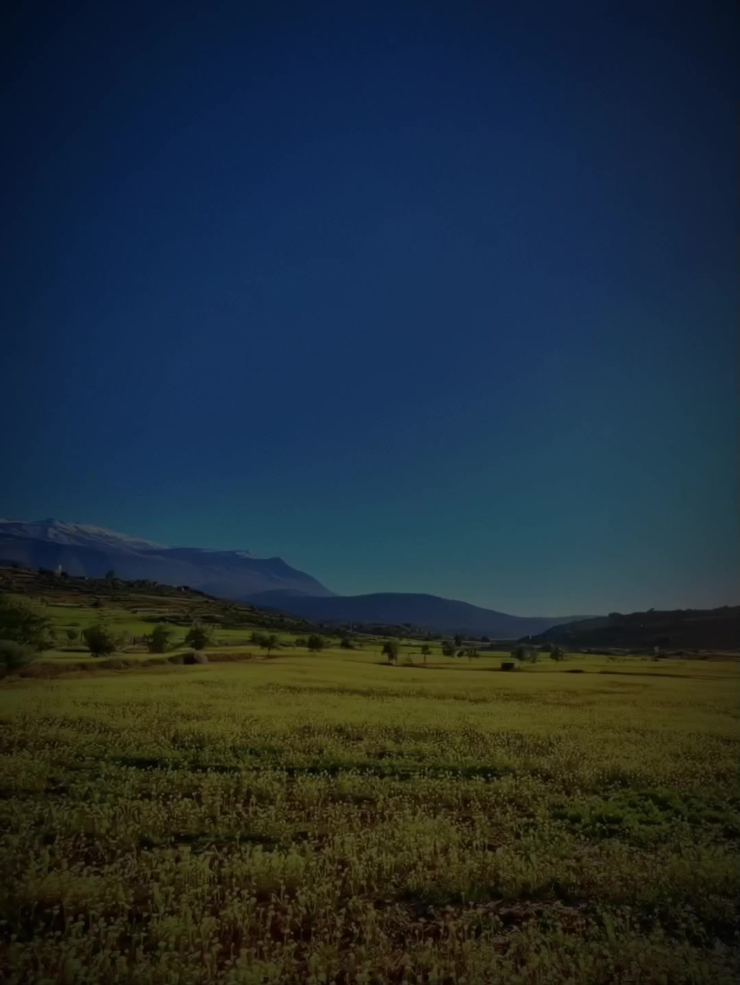 @𝐈 𝐅 𝐄 𝐄 𝐋