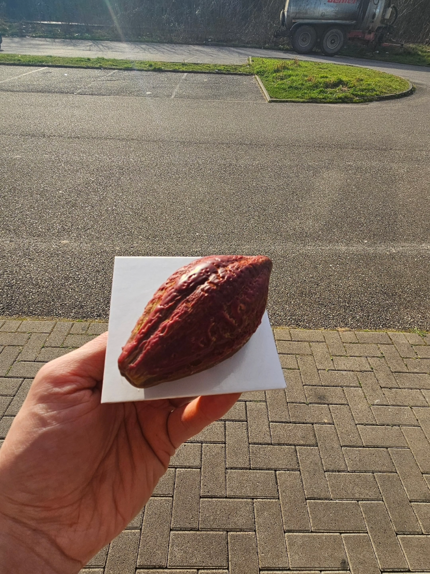 @MathiasPatissier67👌