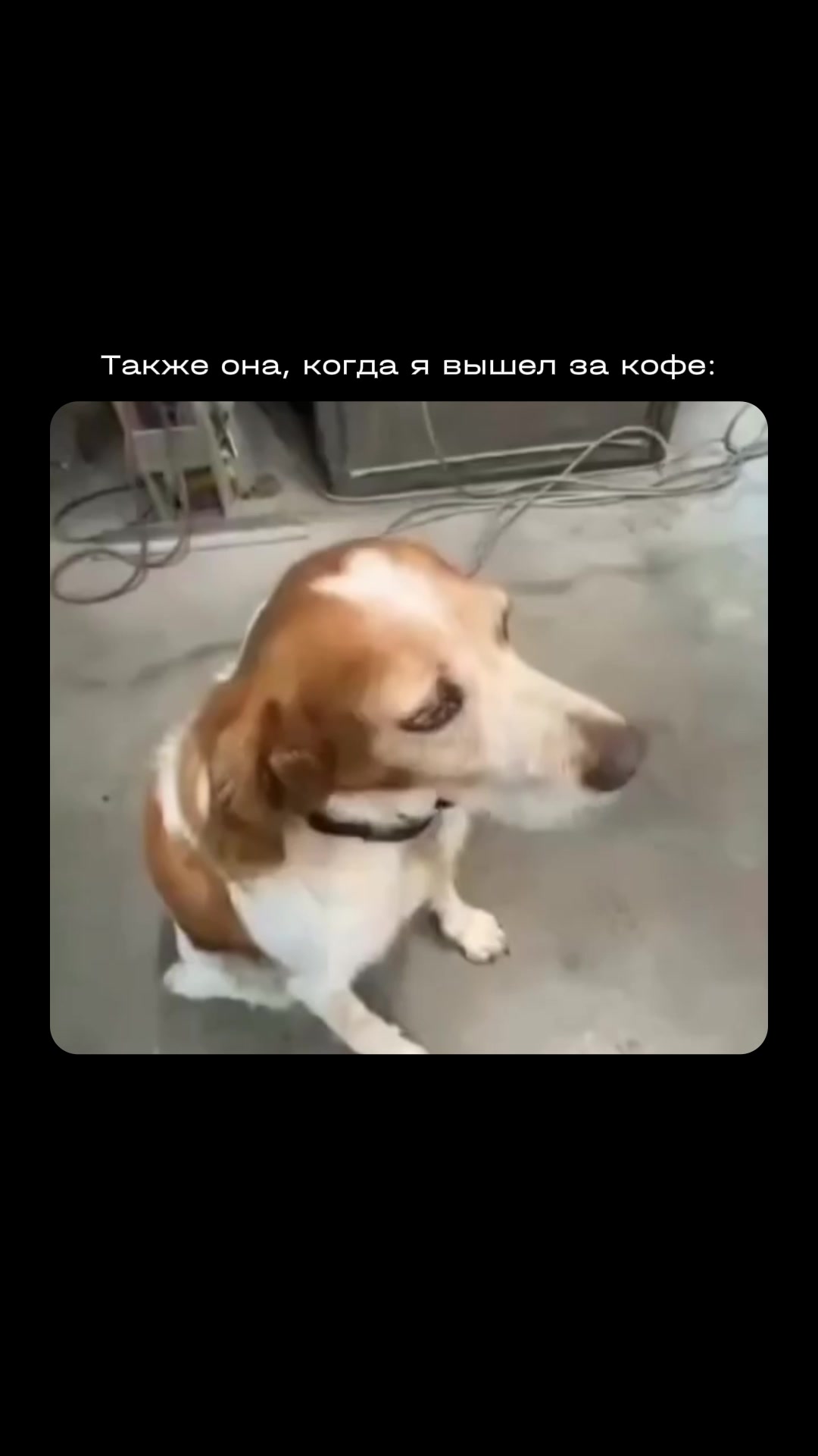 @NEMIGA