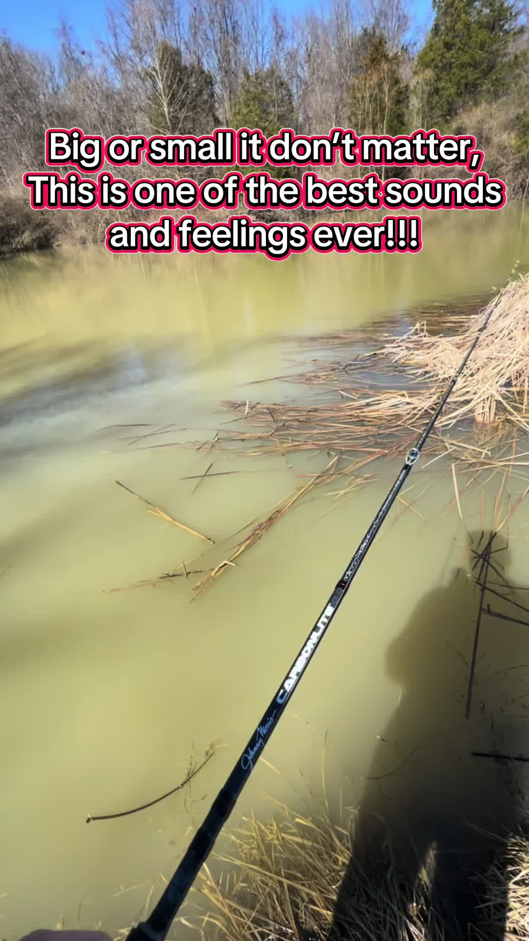@shanwillisfishing