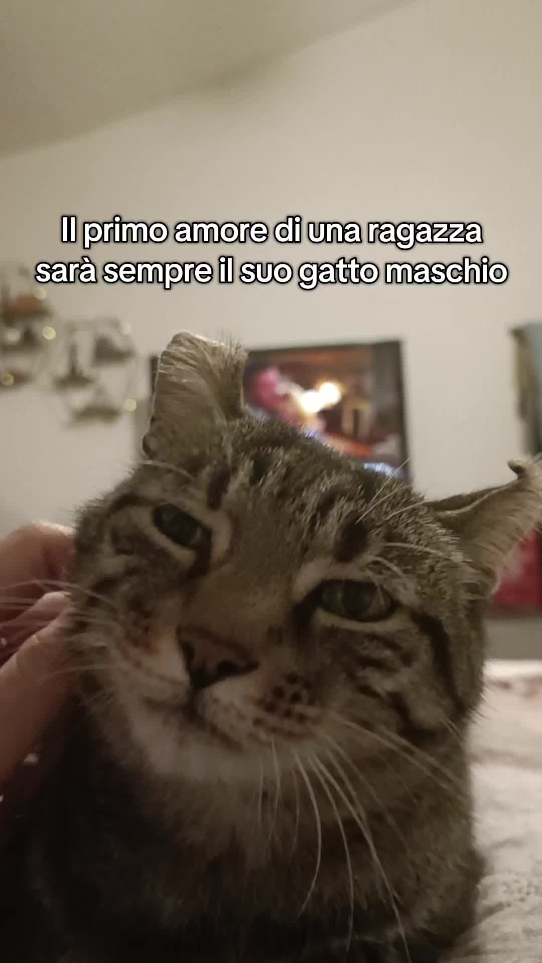 @𝑅𝑂𝑆𝐸