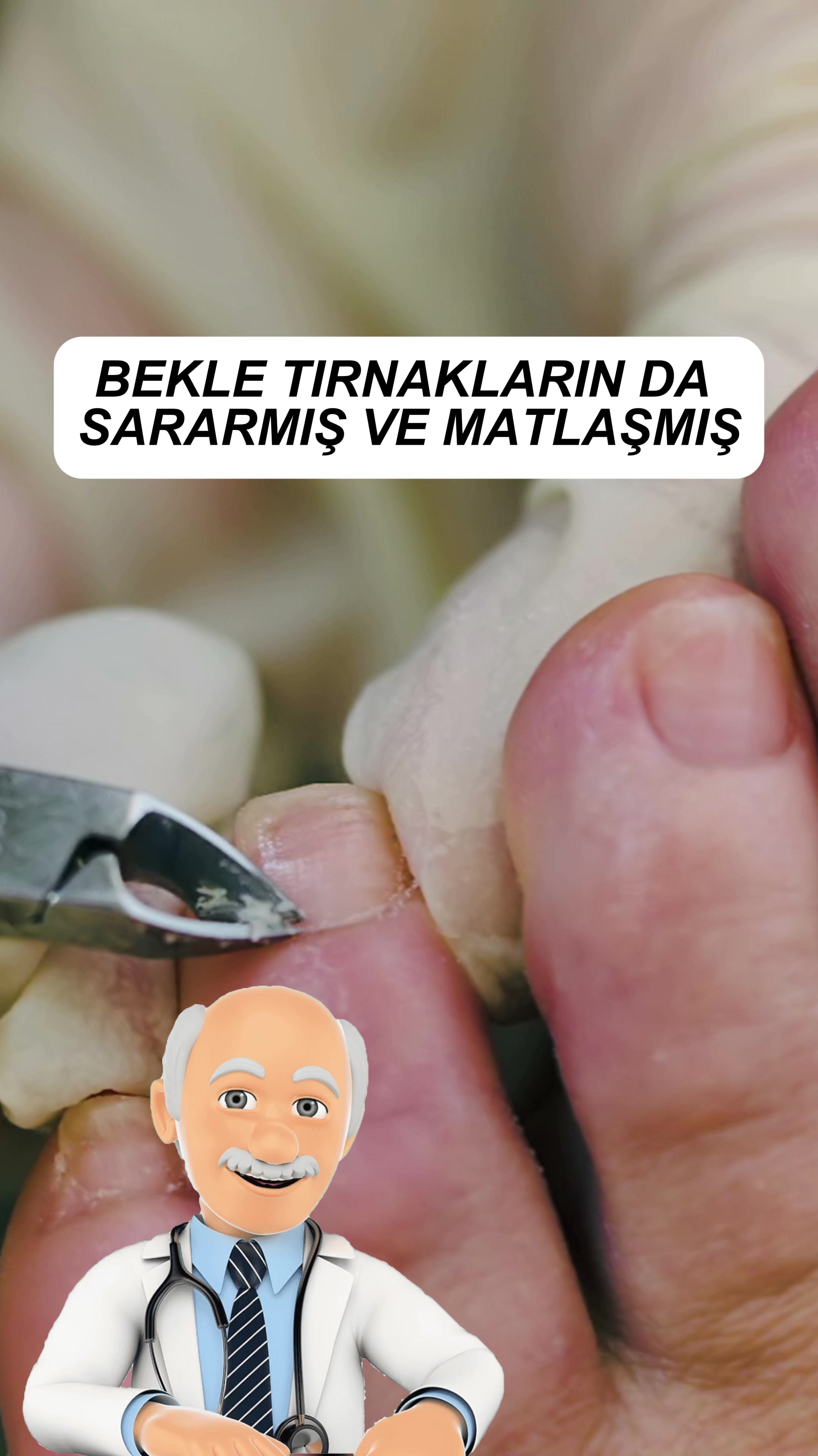 @Bilgi kurdum