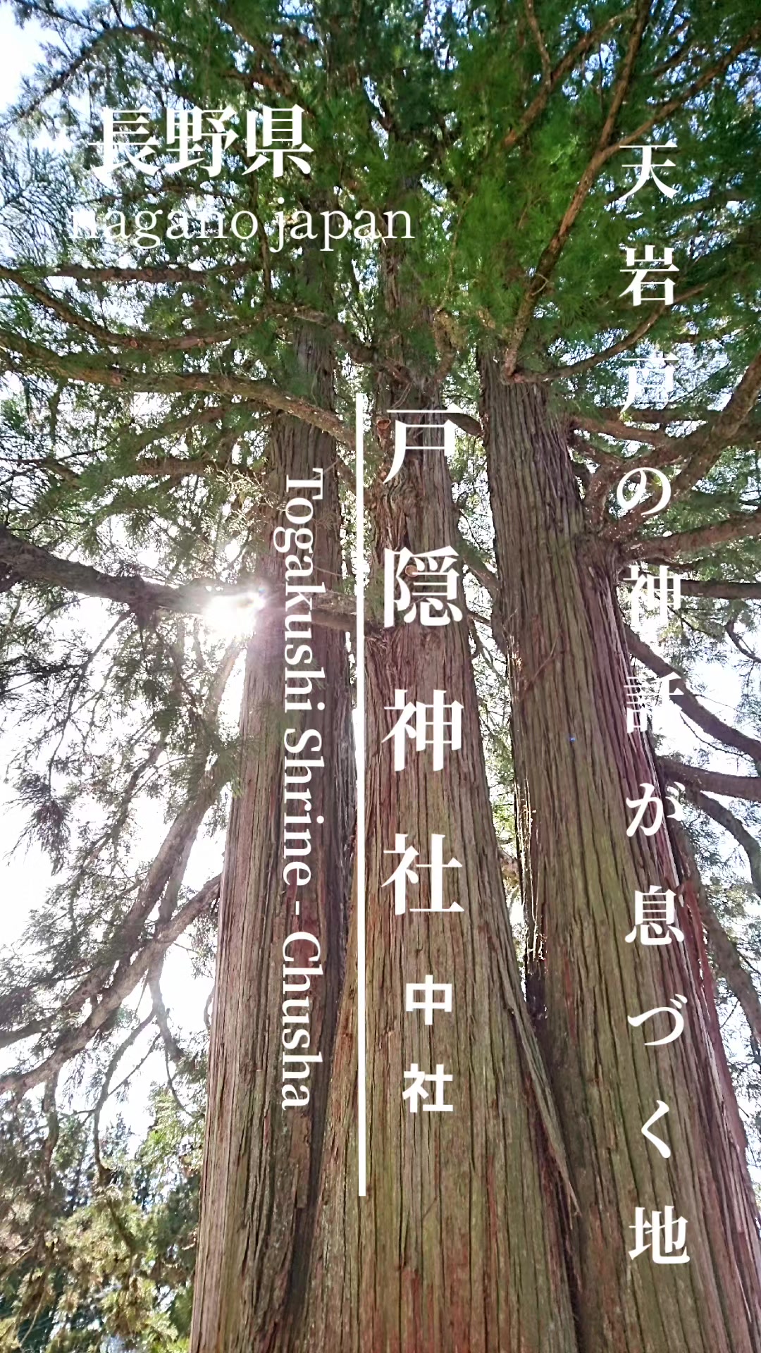 @⛩️MIKADO⛩️