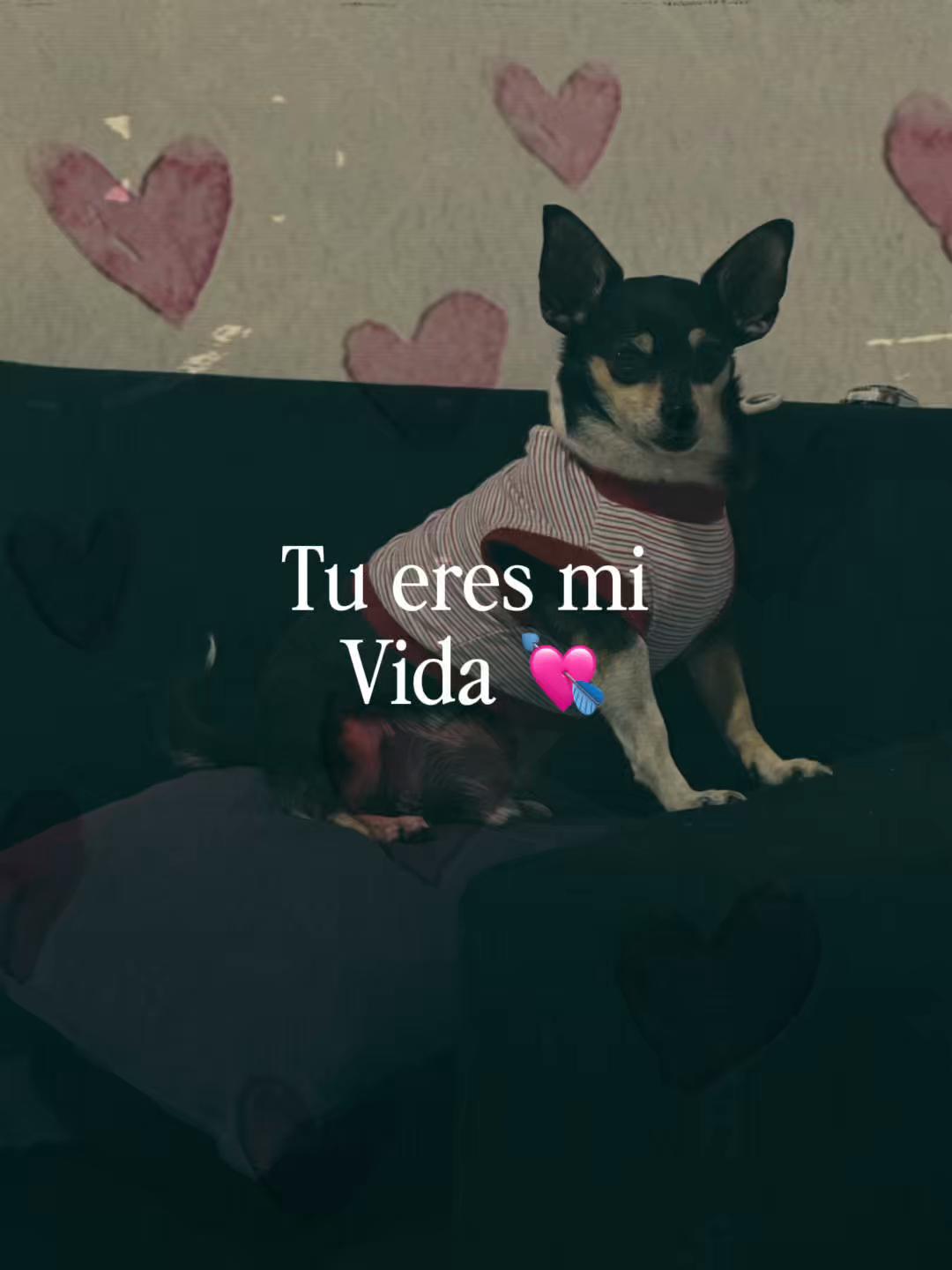 @ingri22saenz
