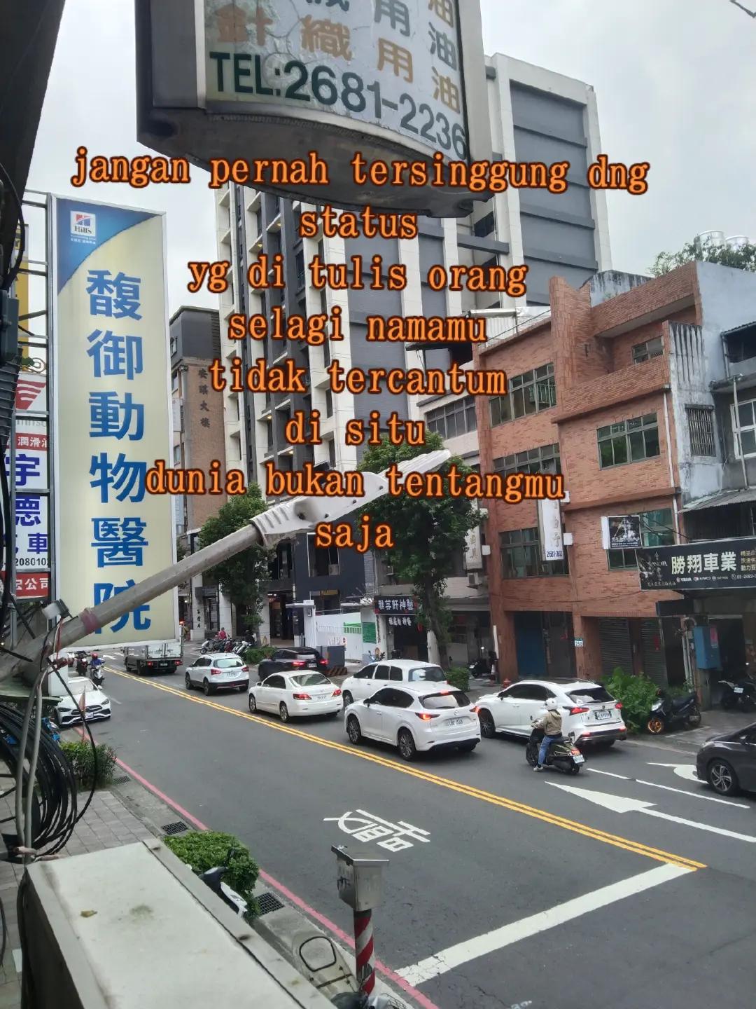 @王安娜592