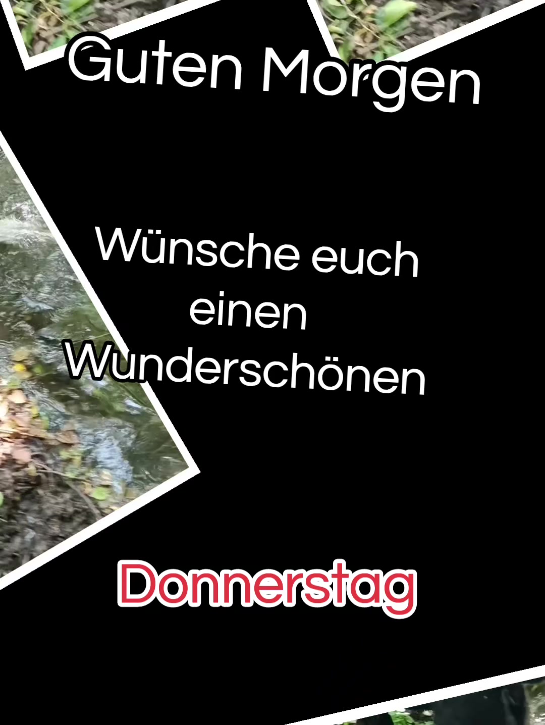 @Peter 1964