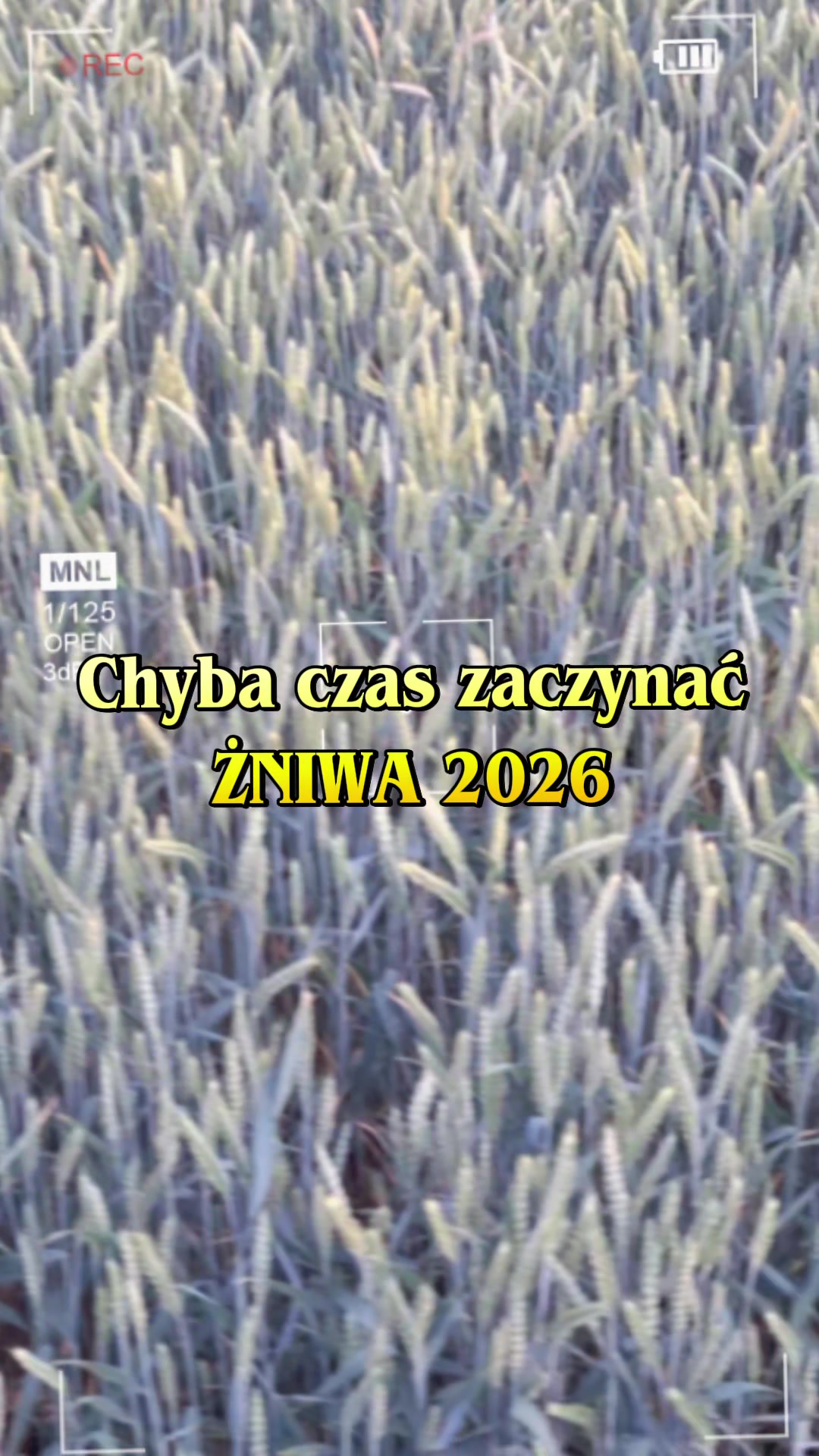 @mamanawsi-lolka