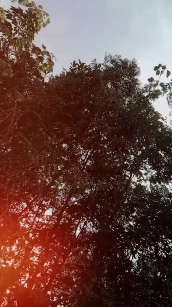 @𝐸𝑦𝑒𝑠 𝑘𝑖𝑙𝑙𝑒𝑟🪽👀💙
