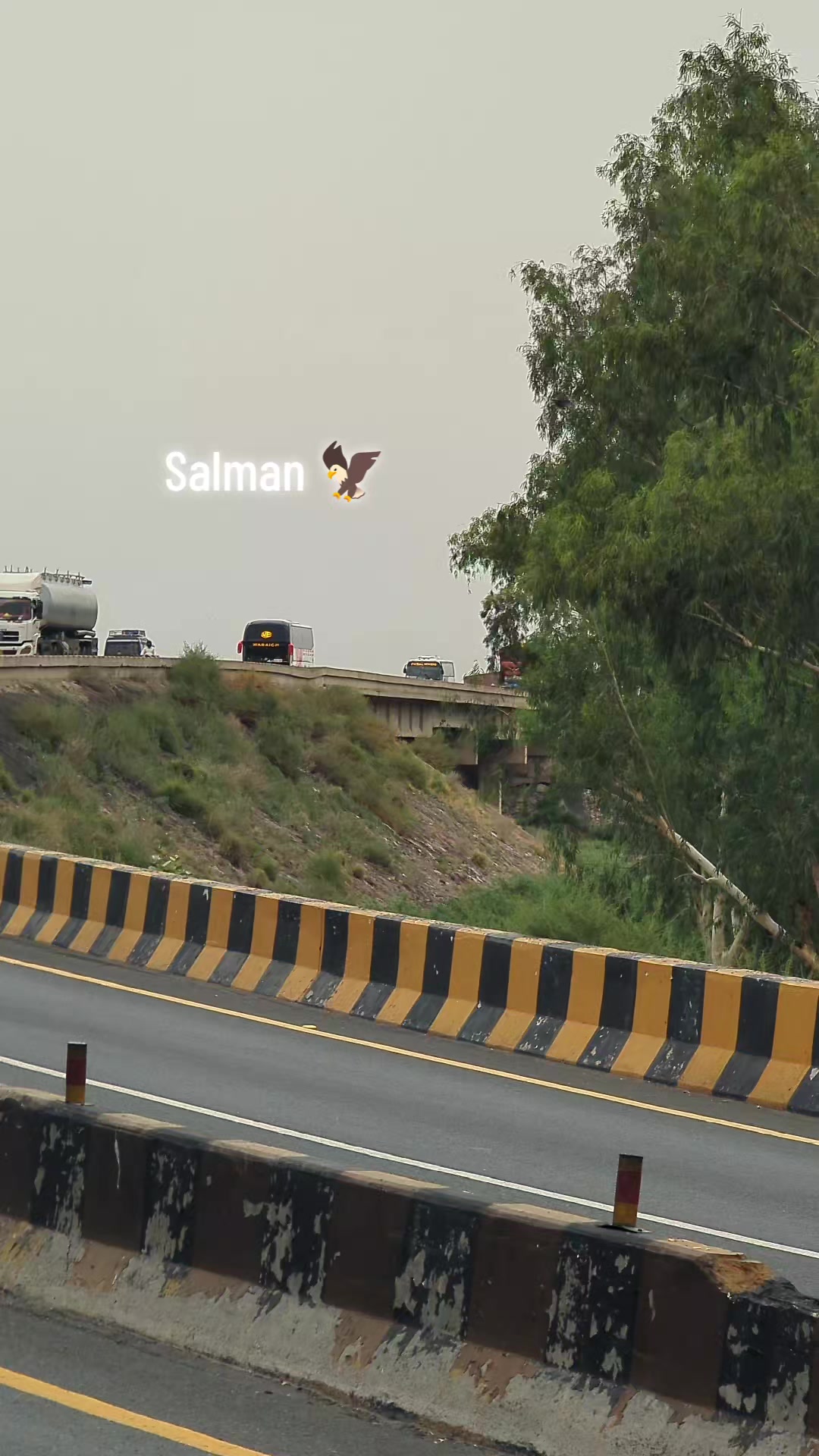 @Salman 🦅