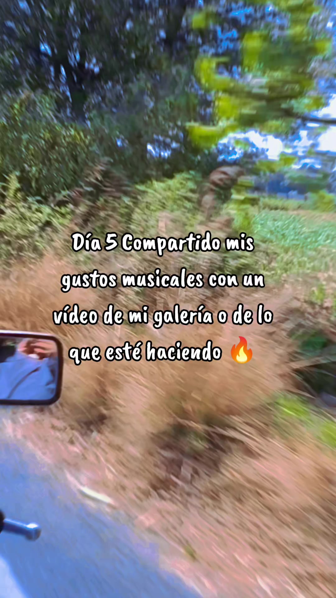 @Marce Sykes Mor