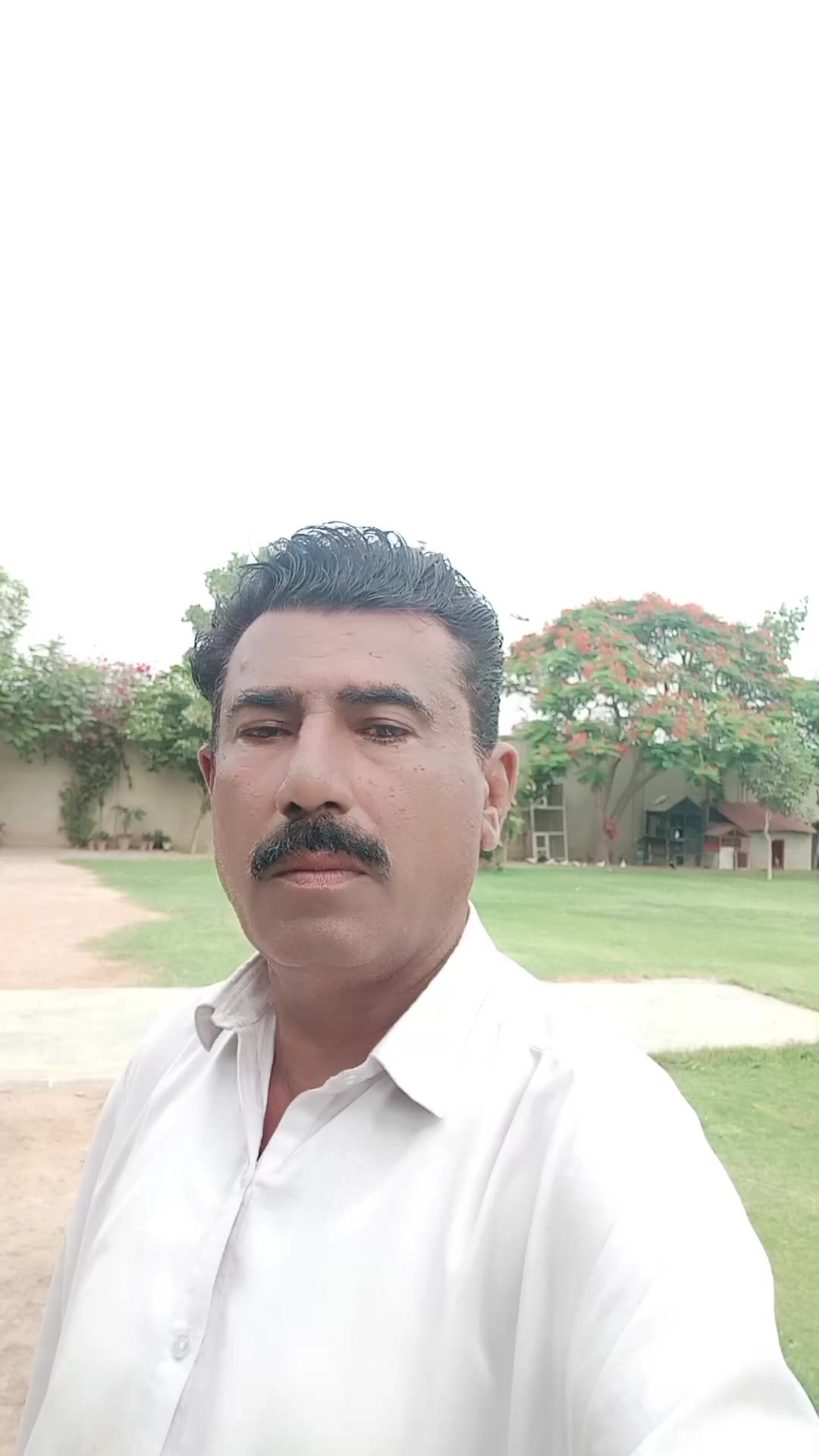 @Mehar Ali Laghari