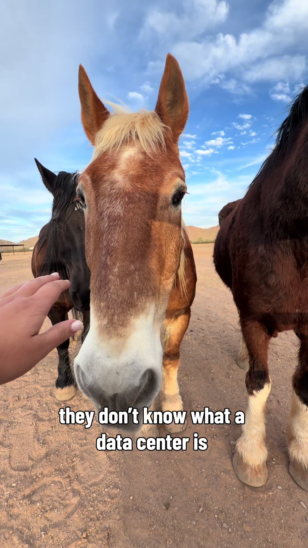 @Dani in the Desert