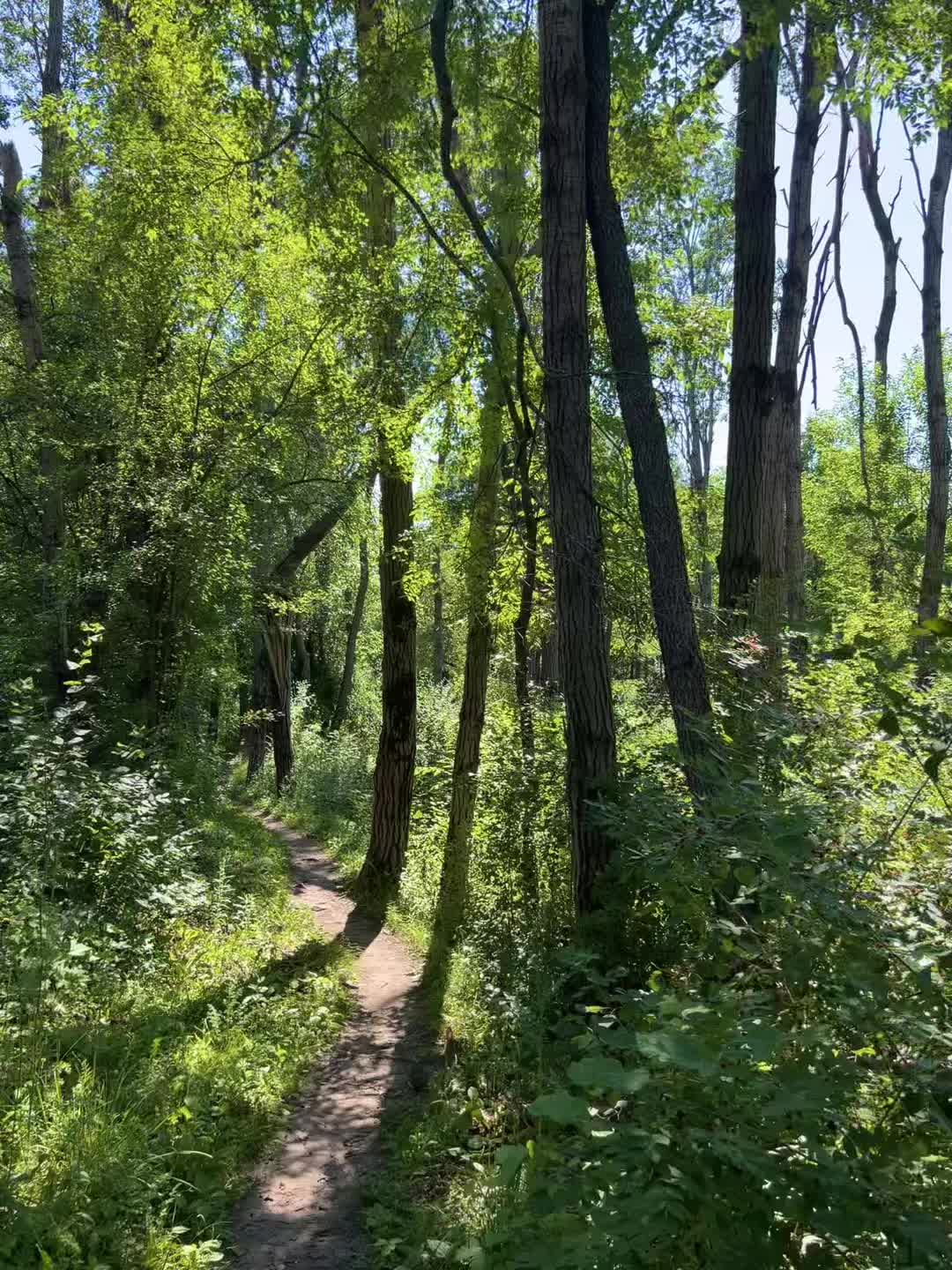 @63D7x5