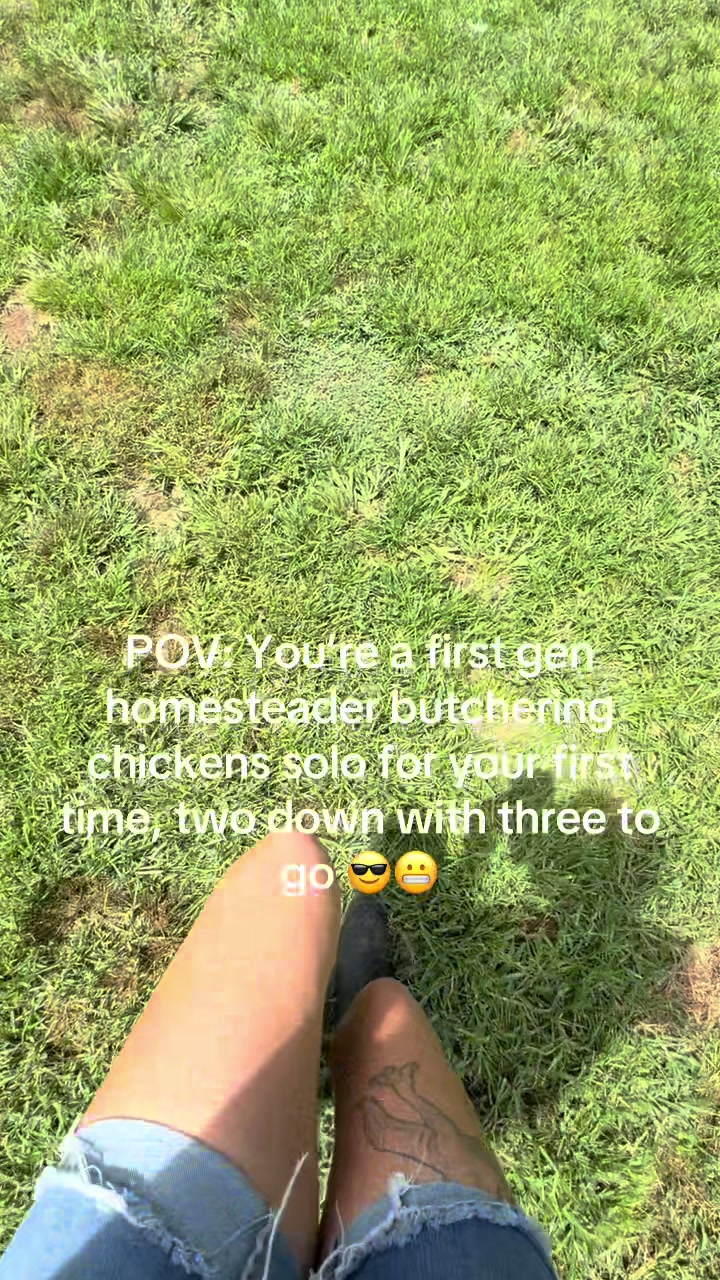 @Brittany 1st Gen Homestead Mom