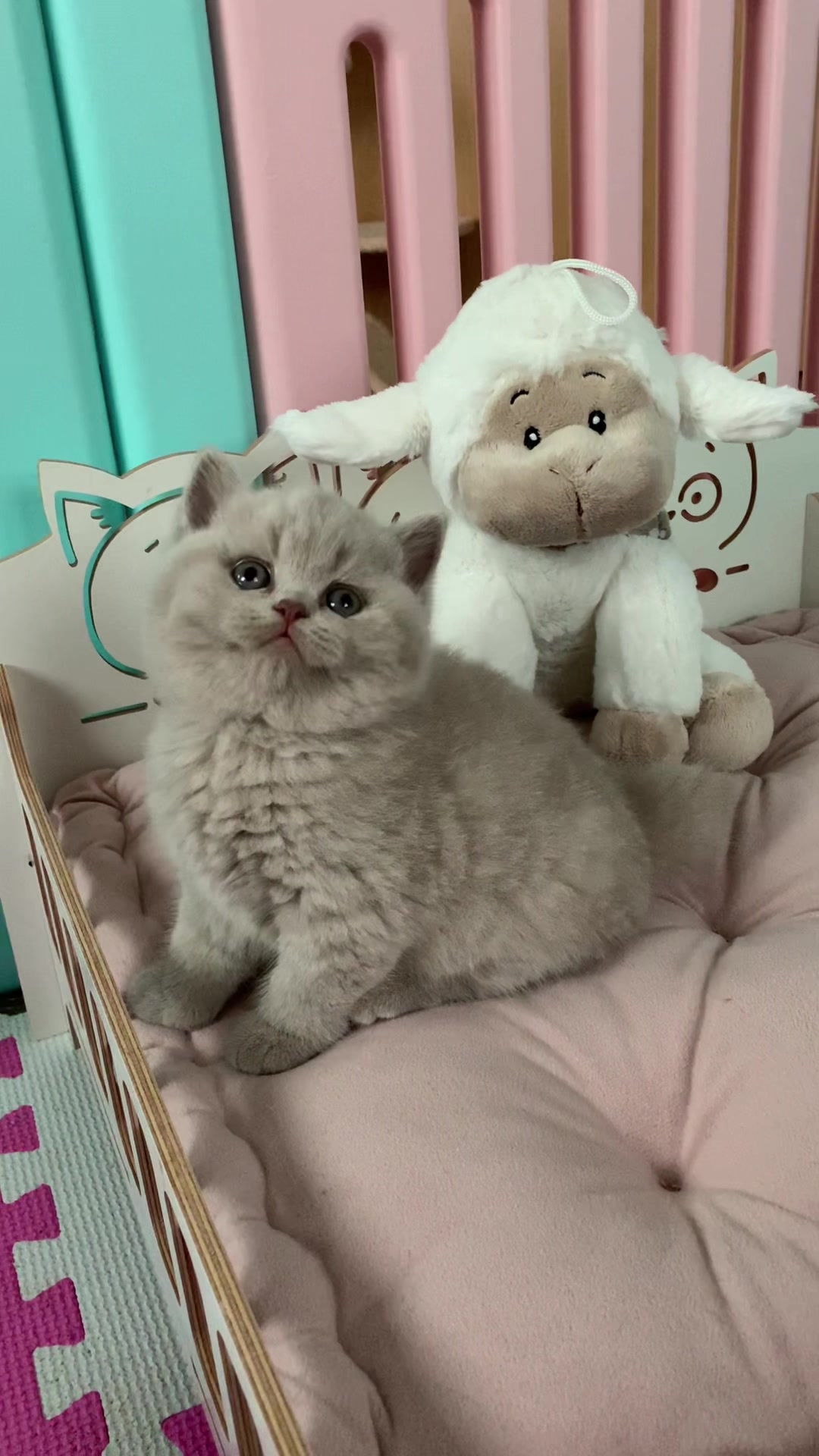 @oksana