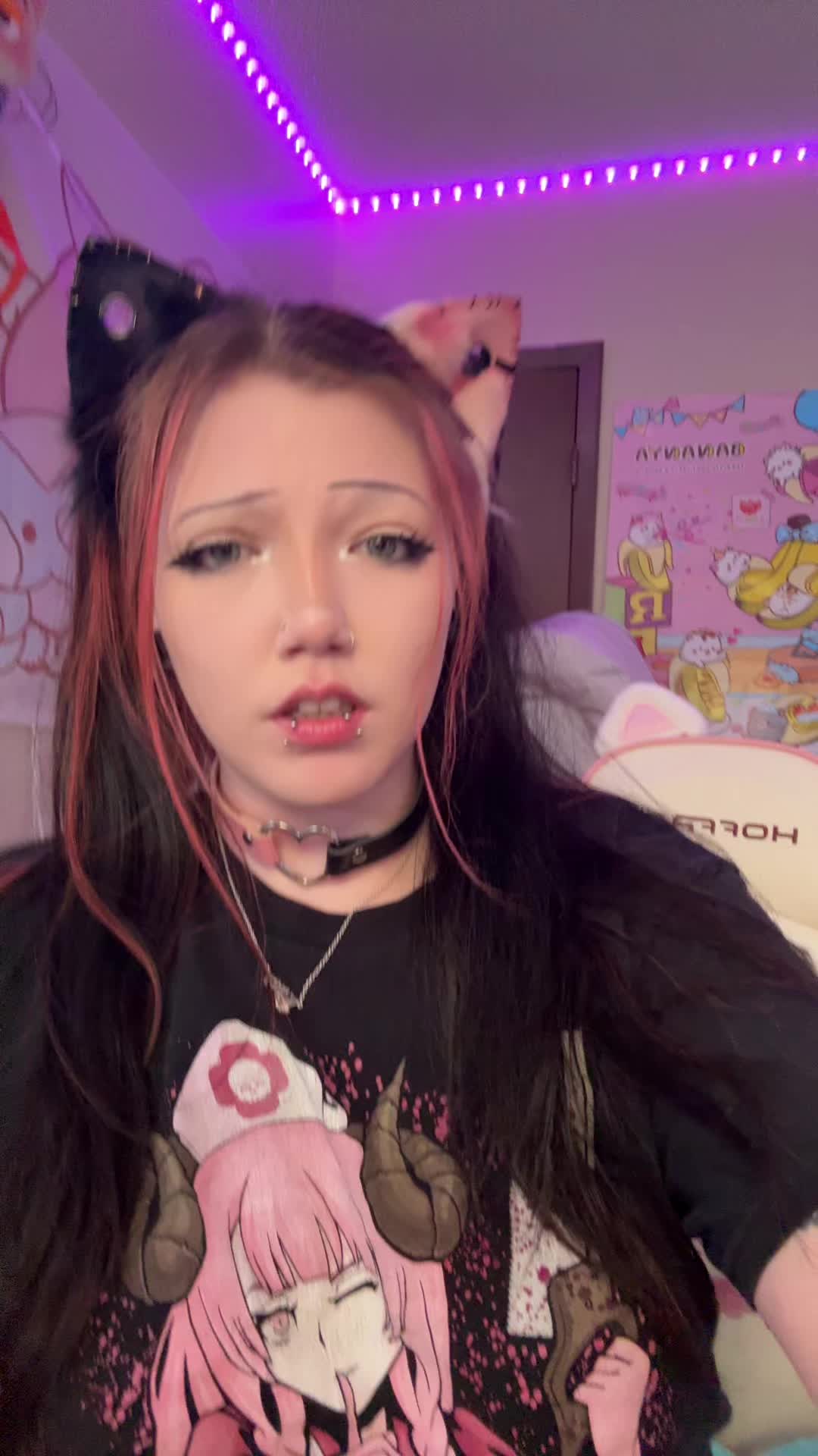 @kitty