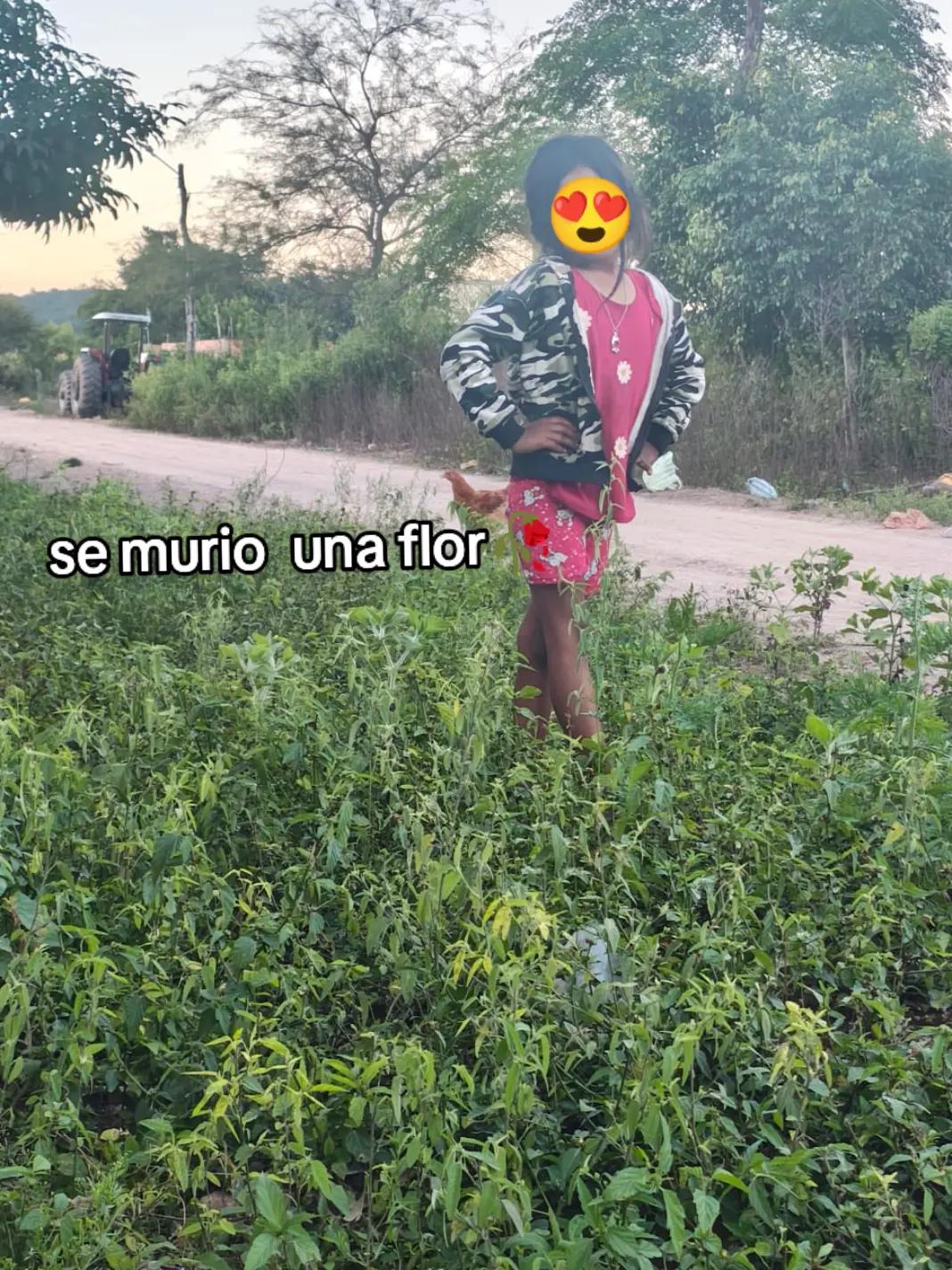 @Rosali ff  ❤