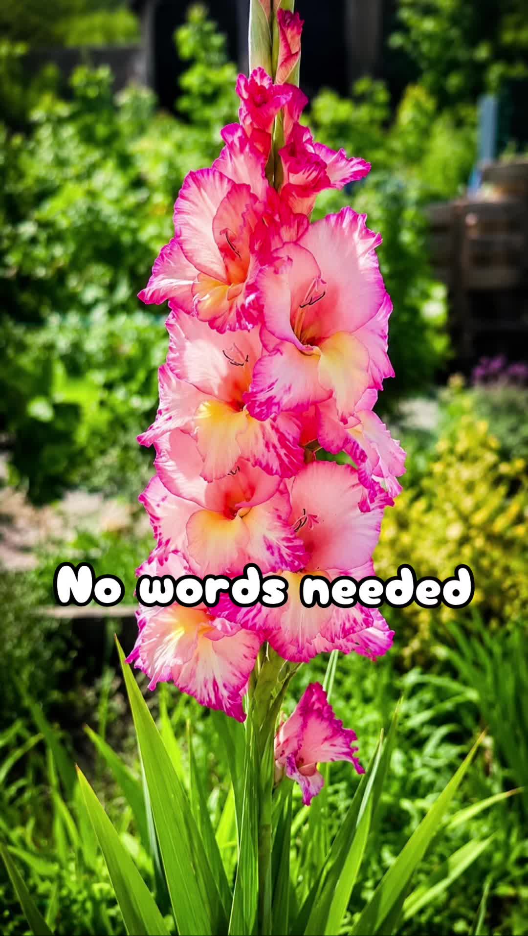 @(Paul)@pvt_ak