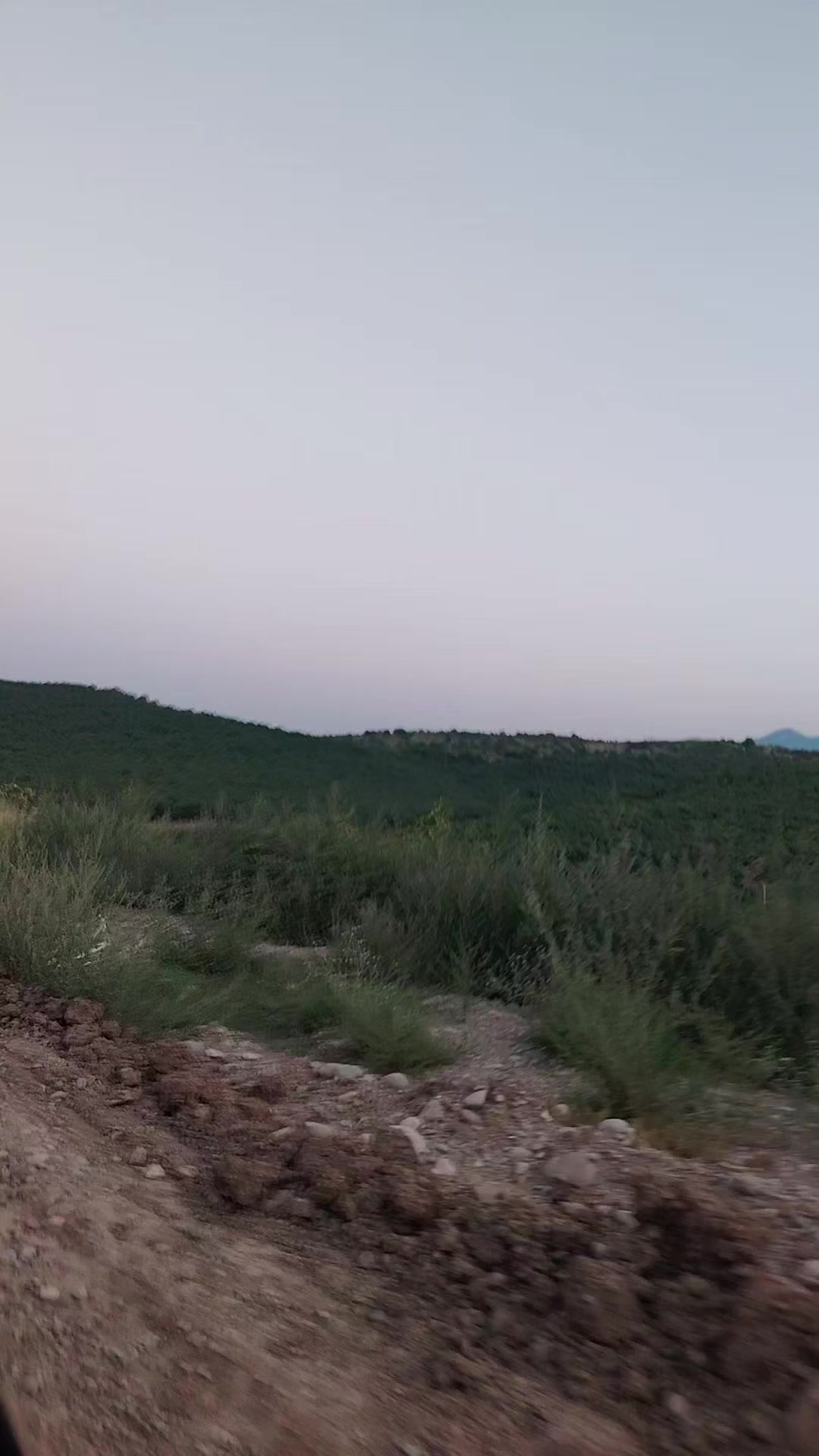 @Baku dekarativ işlər