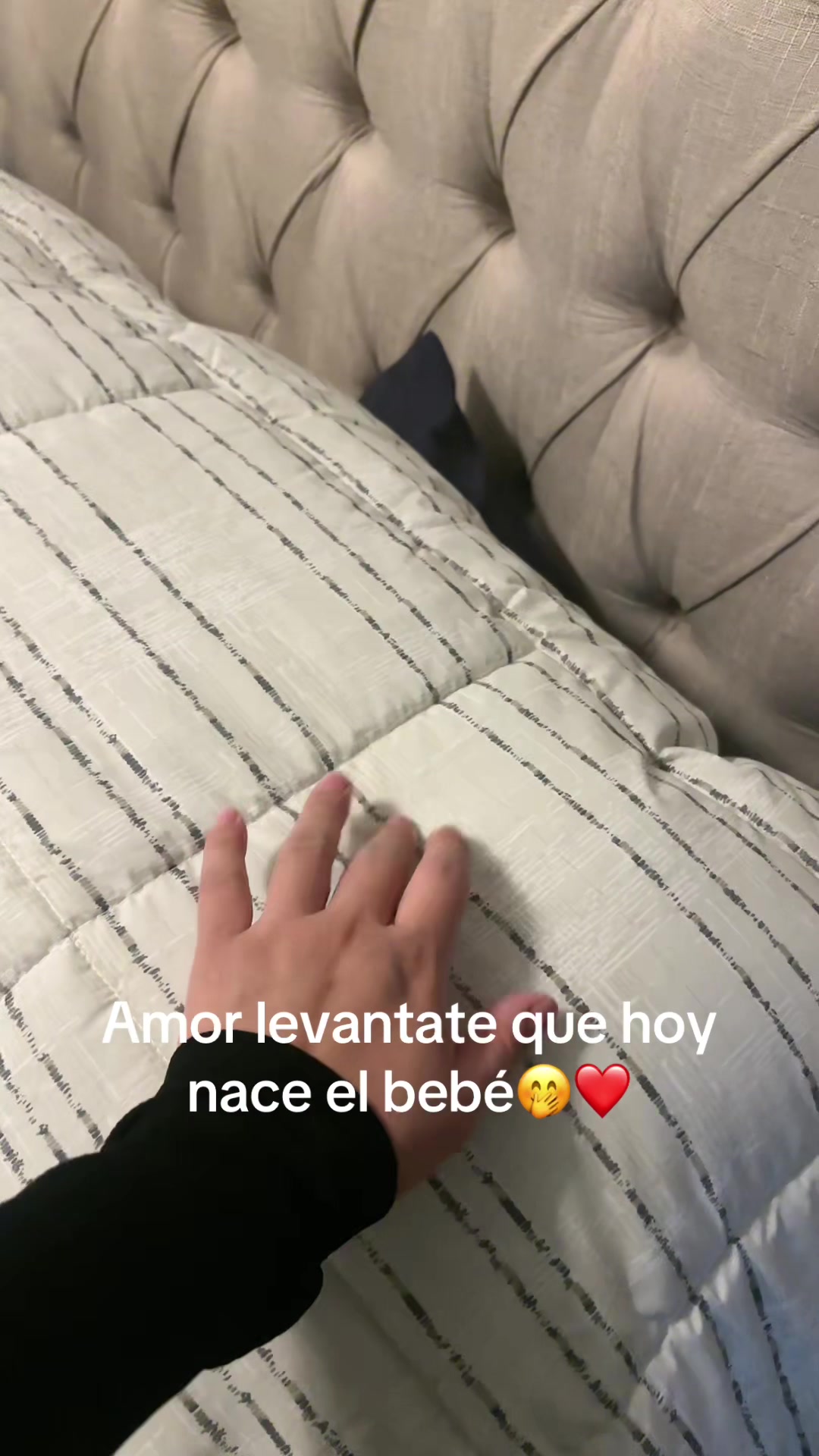 @Ignacia