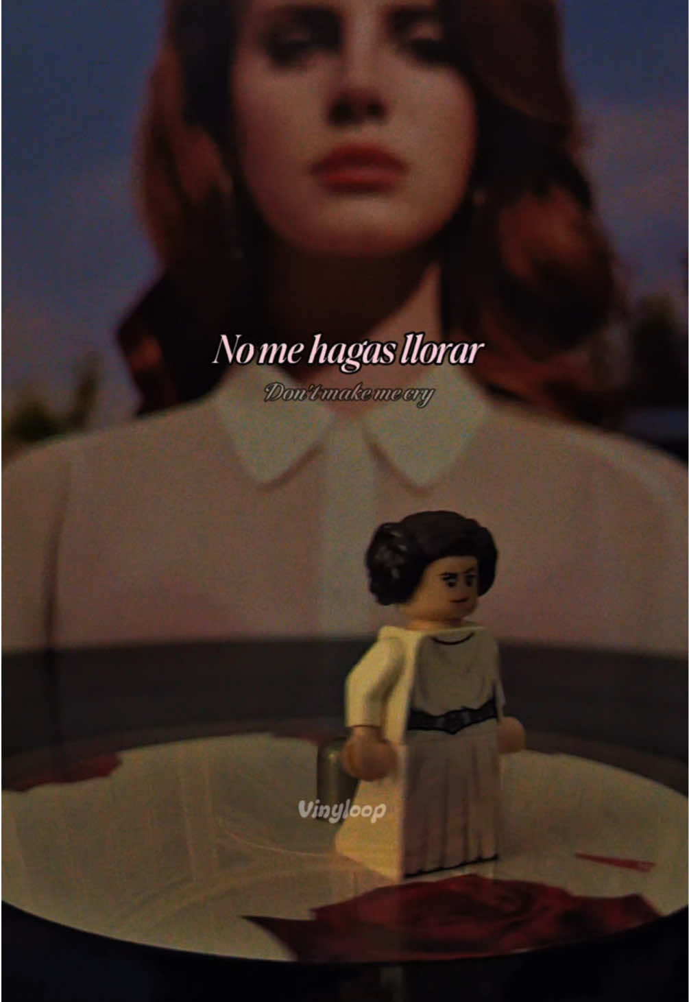 @VinyLoop