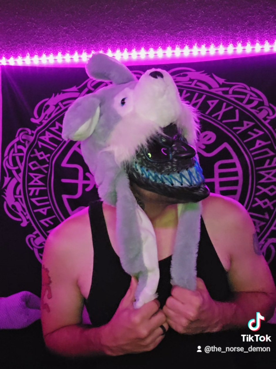 @The_norse_demon