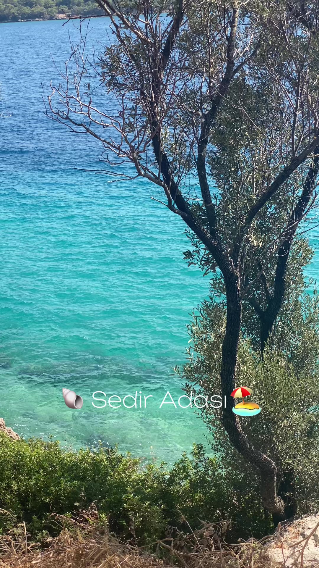 @🇹🇷