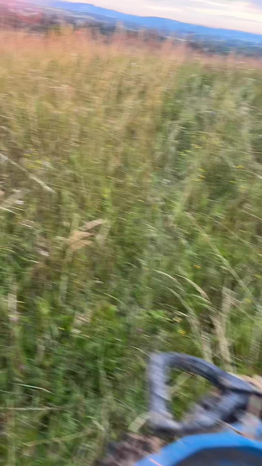 @Tomasz Tomasz