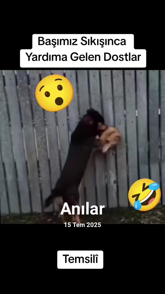 @Kömür Gözlüm