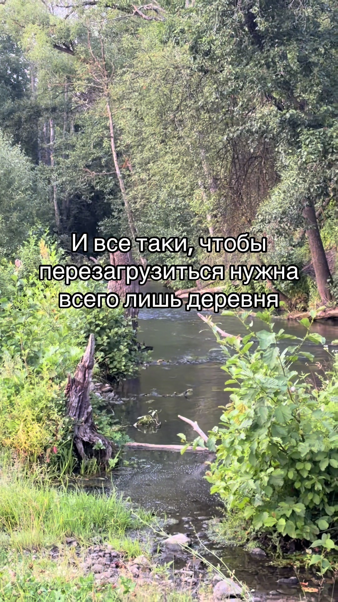 @арсений барбоскин