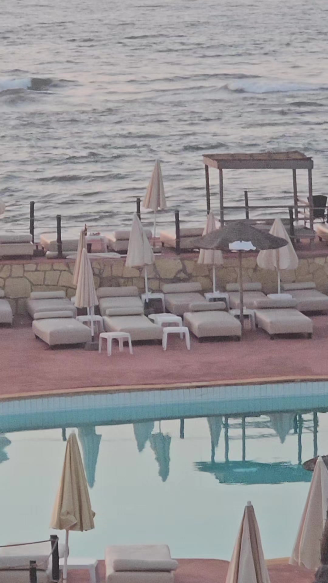 @Donia