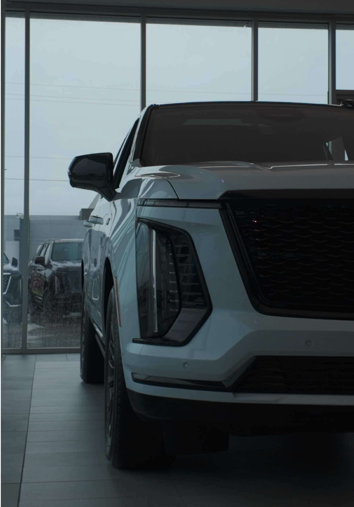 @Cadillac from Ty