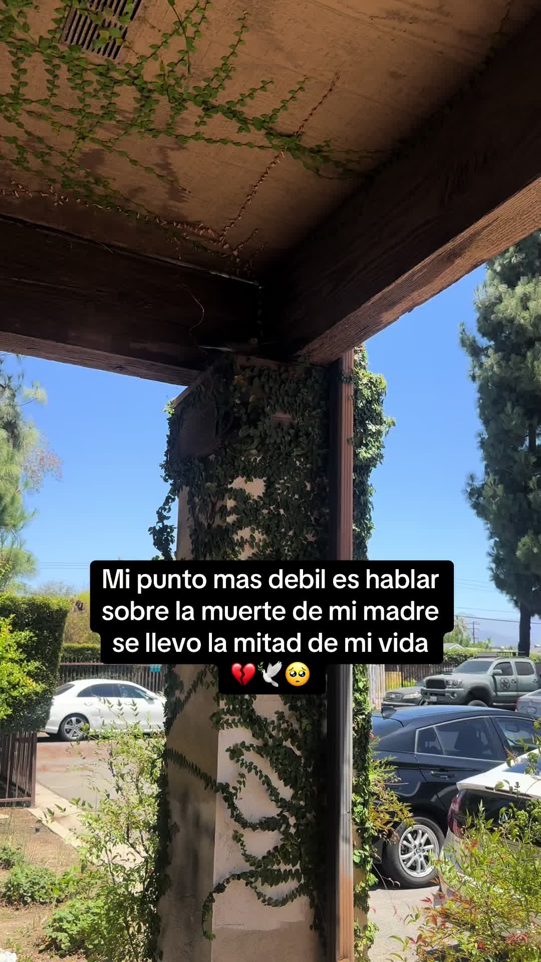 @Hilary Orrosquieta 🥀