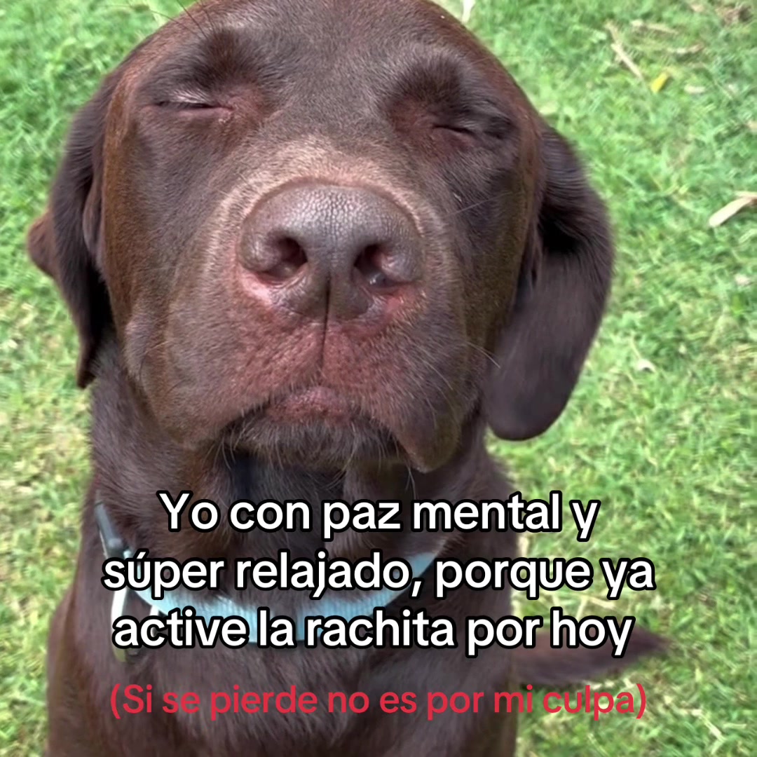 @saulburgosp2.0